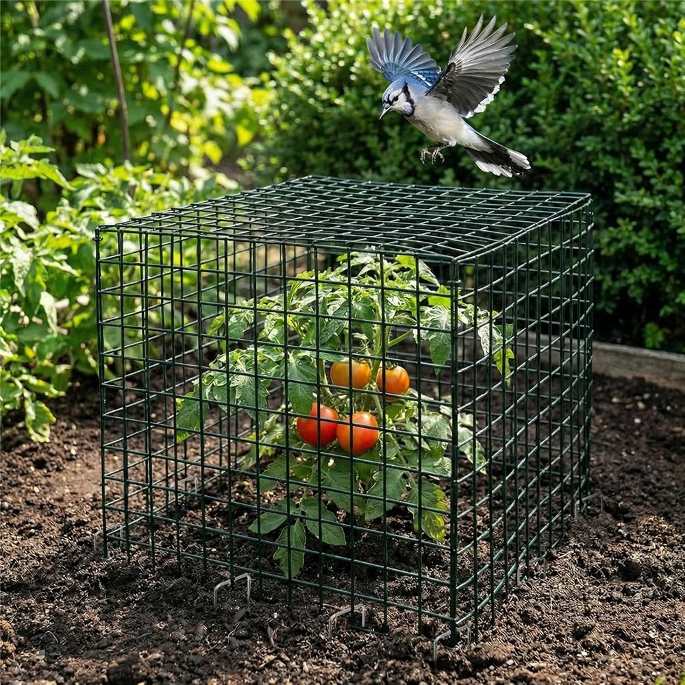 6x Plant Protection Against Animals, Plant Protective Cage for Flowers Kind mesh fence