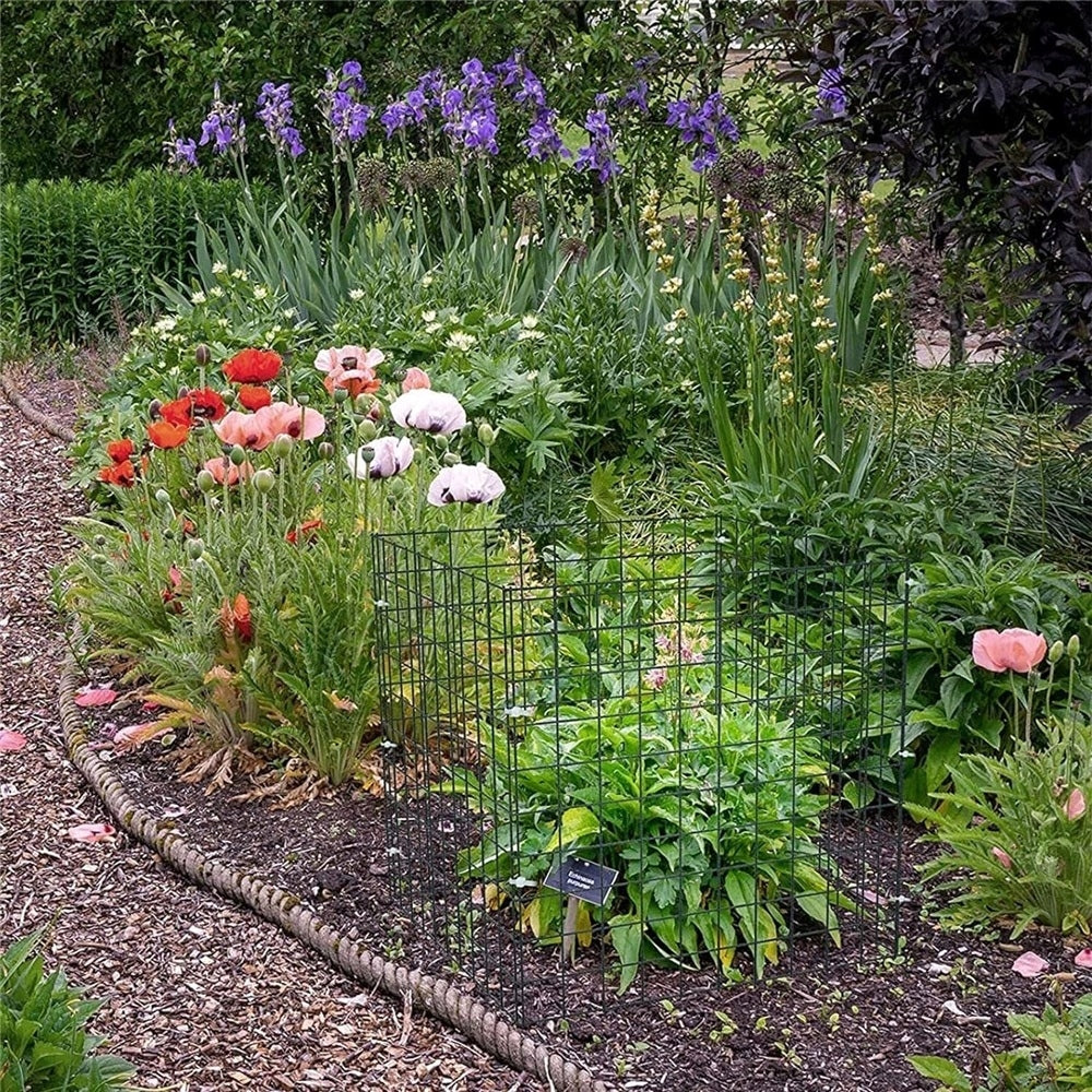 6x Plant Protection Against Animals, Plant Protective Cage for Flowers Manufacturer code Ochrona roślin przed zwierzętami