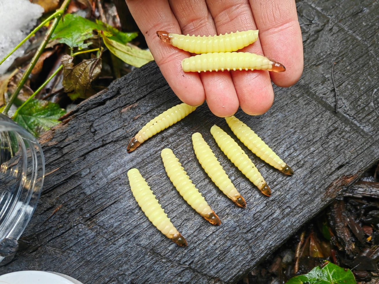 8 pcs Magic Baits Salo Larva 45 mm - 1,7 gr. killer for Trout Area Trouts Fishing method spinning