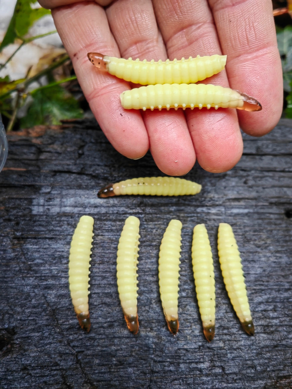 8 pcs Magic Baits Salo Larva 45 mm - 1,7 gr. killer for Trout Area Trouts Model LARWA XL