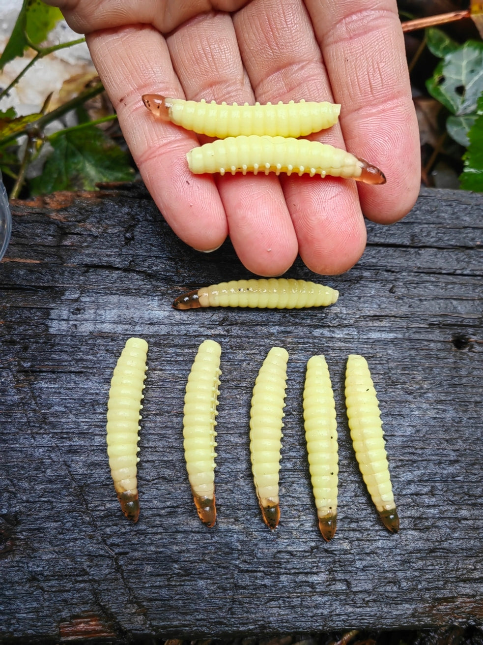 8 pcs Magic Baits Salo Larva 45 mm - 1,7 gr. killer for Trout Area Trouts Packaging status original