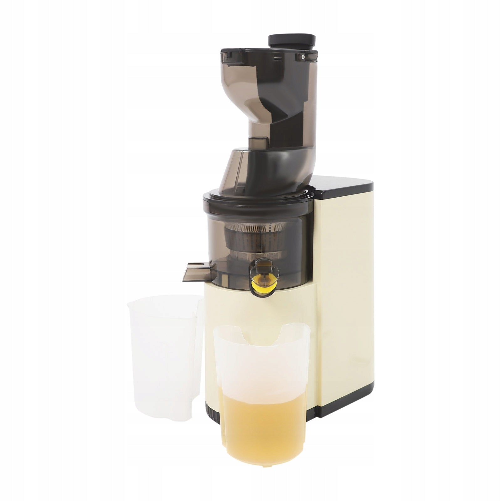 800W ABS Fruit and Vegetable Juicer