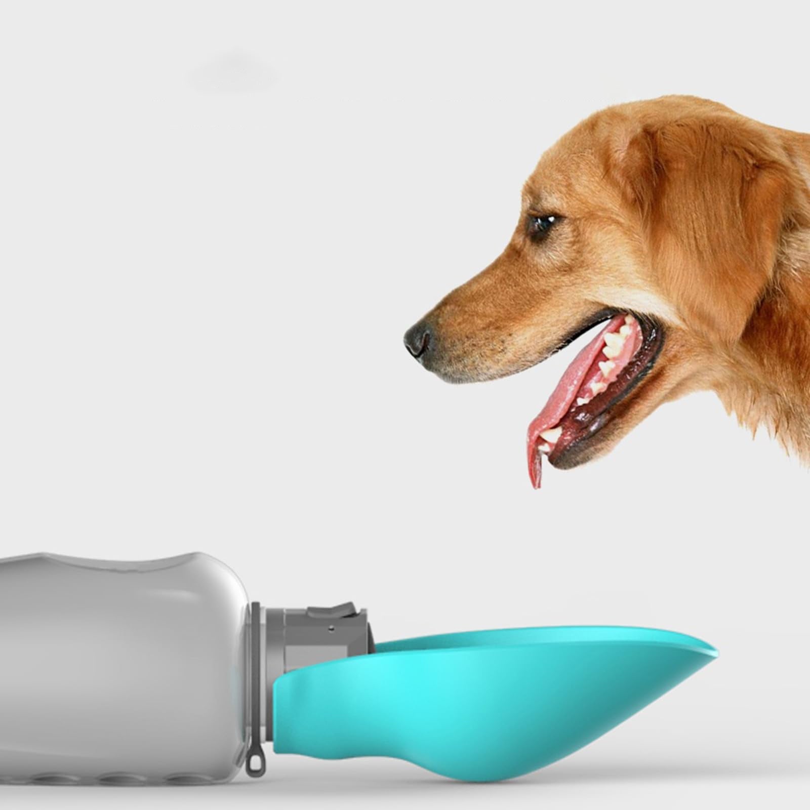 800ml Portable Dog Water Bottle for Large Domestic Dogs in Color green