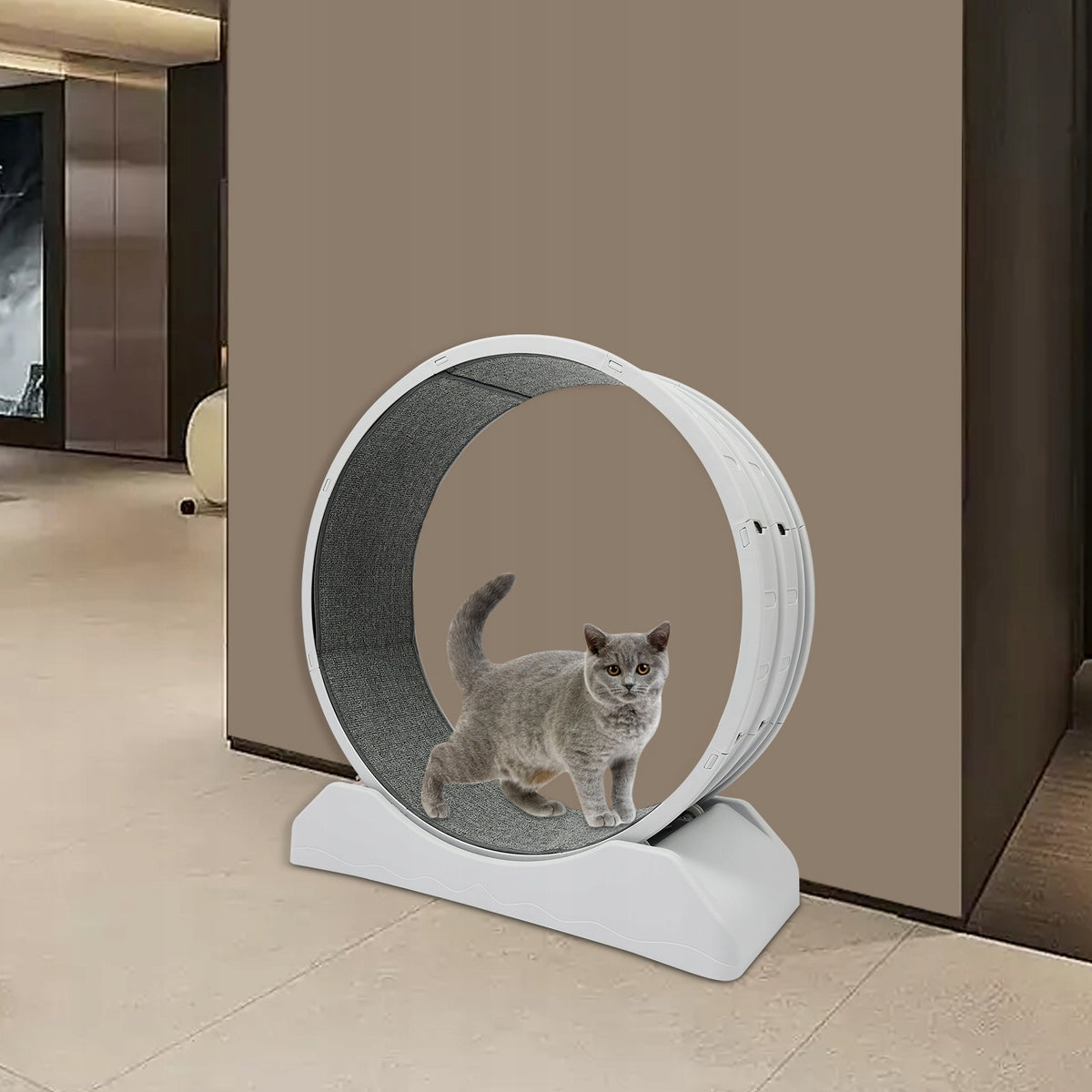 80cm Grey Round Cat Scooter With Lock Cat Running Wheel 10kg Load Packaging status original