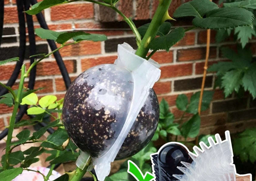 8CM ROOTING BALLS SEEDLINGS PROPAGATION SEEDLINGS BALL DEPOSITS 10PCS Brand no brand