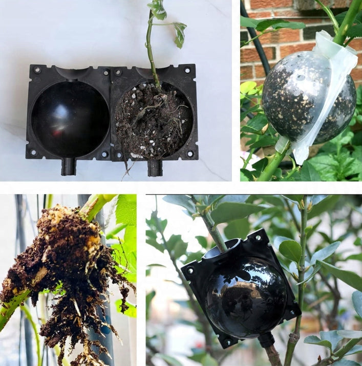8CM ROOTING BALLS SEEDLINGS PROPAGATION SEEDLINGS BALL DEPOSITS 10PCS Manufacturer code Rooter 10szt