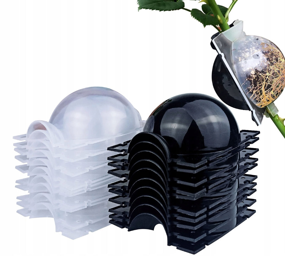 8CM ROOTING BALLS SEEDLINGS PROPAGATION SEEDLINGS BALL DEPOSITS 10PCS