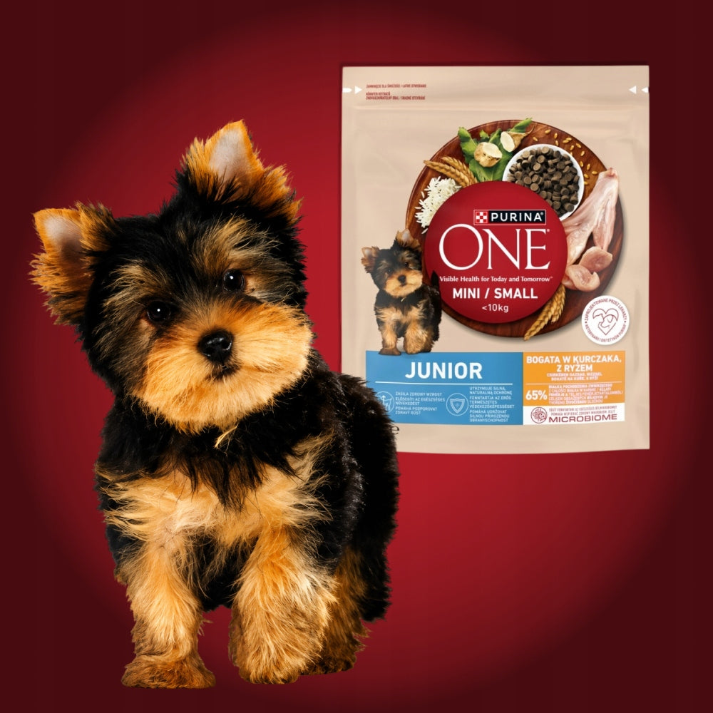 8X PUPPY FOOD PURINA ONE MINI - RICH IN CHICKEN AND RICE, 800G Brand Purina ONE