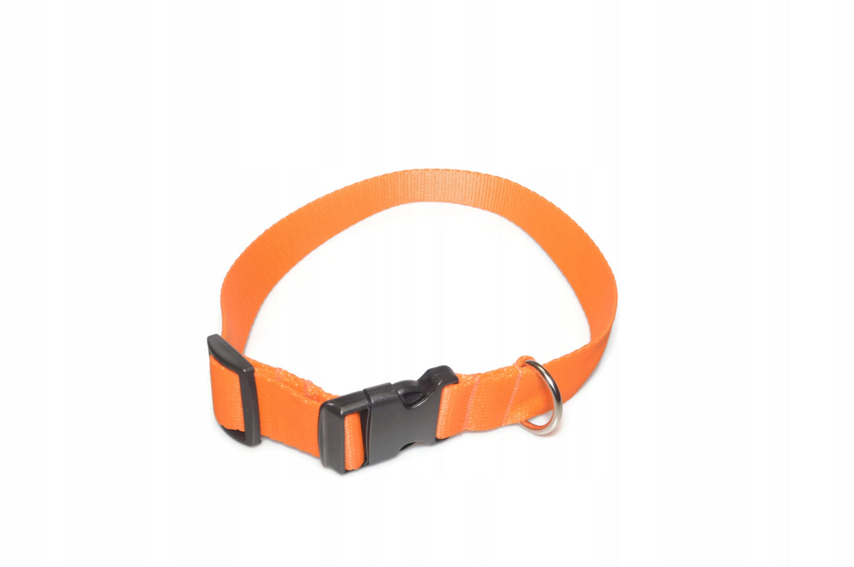A-006 COLLAR TAPE 30mm/38-65cm : Colour - Gold