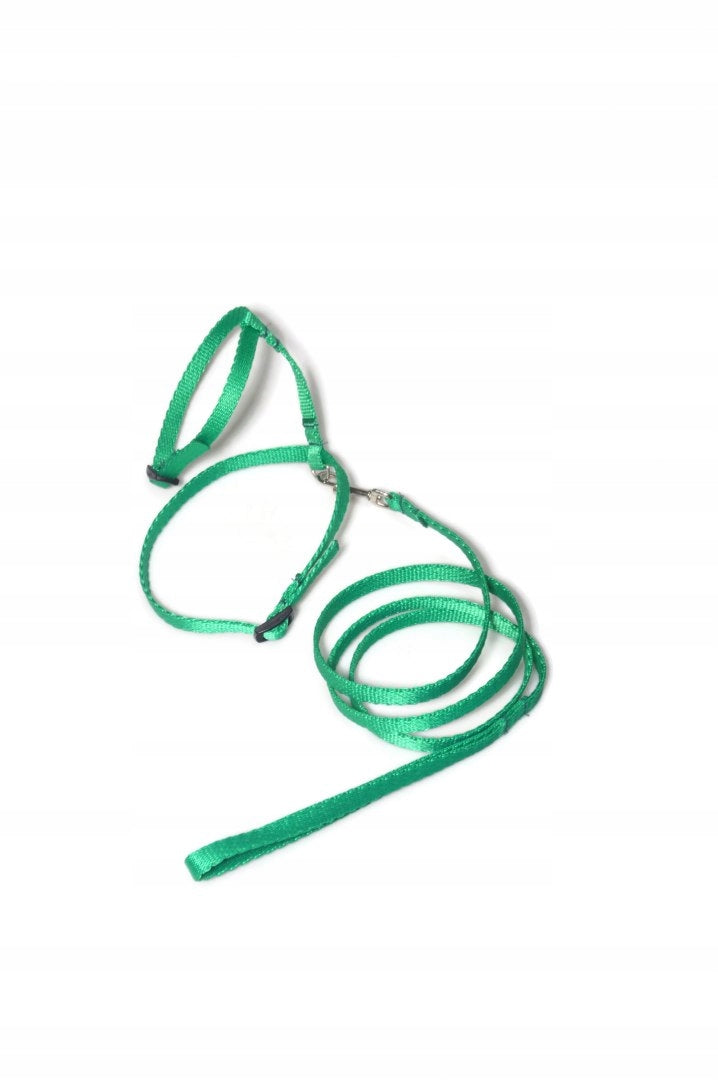 A-059 SET FOR CAT V.2 Color multicolor