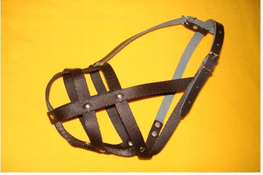 A MUZZLE FOR A CUSTOM-MADE BULL TERRIER! Manufacturer code 19.20.Z