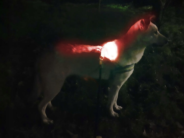 A7. ACTIV PET Silicone LED collar cover blue Manufacturer code SLB-02