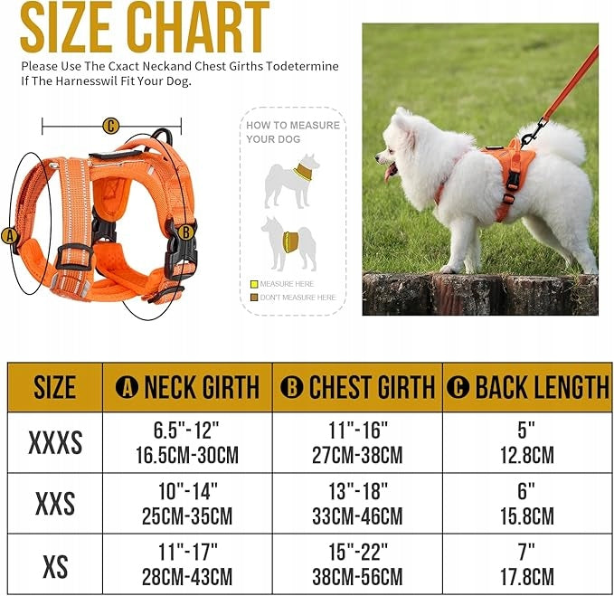 A708 OneTigris ANTZ Small Dog Tactical Harness Set XXS Manufacturer code B0DMR6DLVV