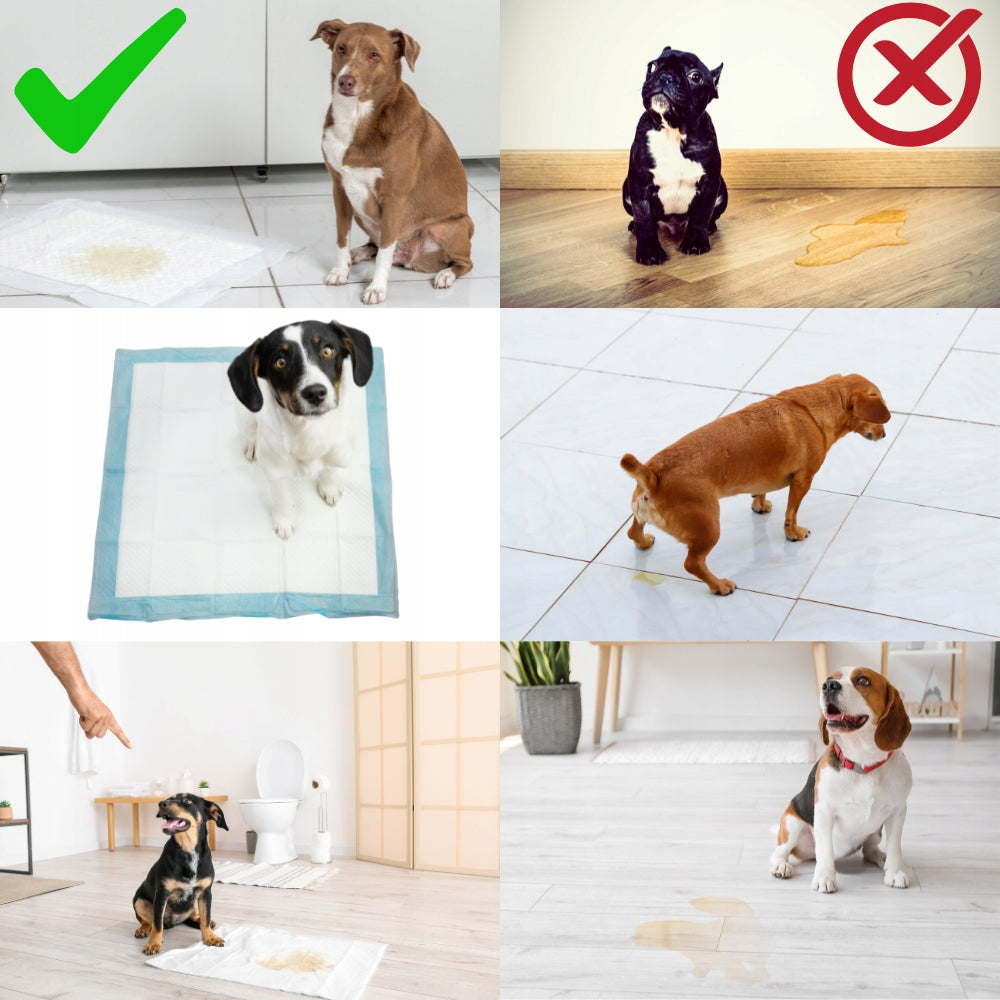 ABSORBENT MATS FOR CAT TRAINING DOG 60x60 cm FOR ANIMALS 800ml 60 pcs Medical device no