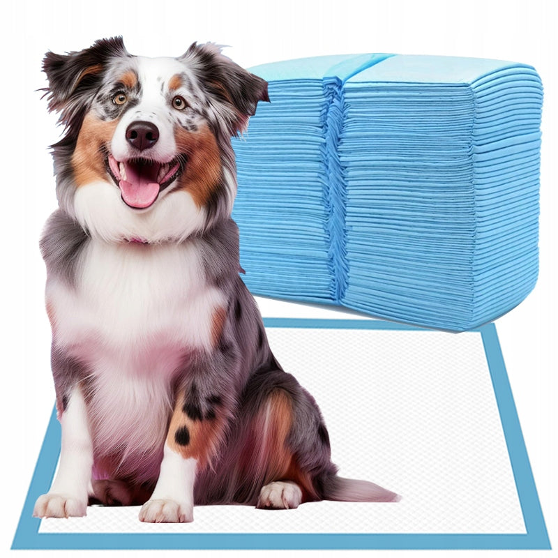 ABSORBENT PADS HYGIENIC DISPOSABLE CHANGING MATS 60x60 50 PCS