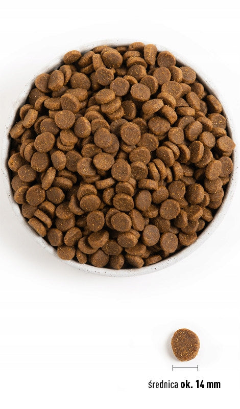 ACANA Senior Dog 2kg Brand Acana