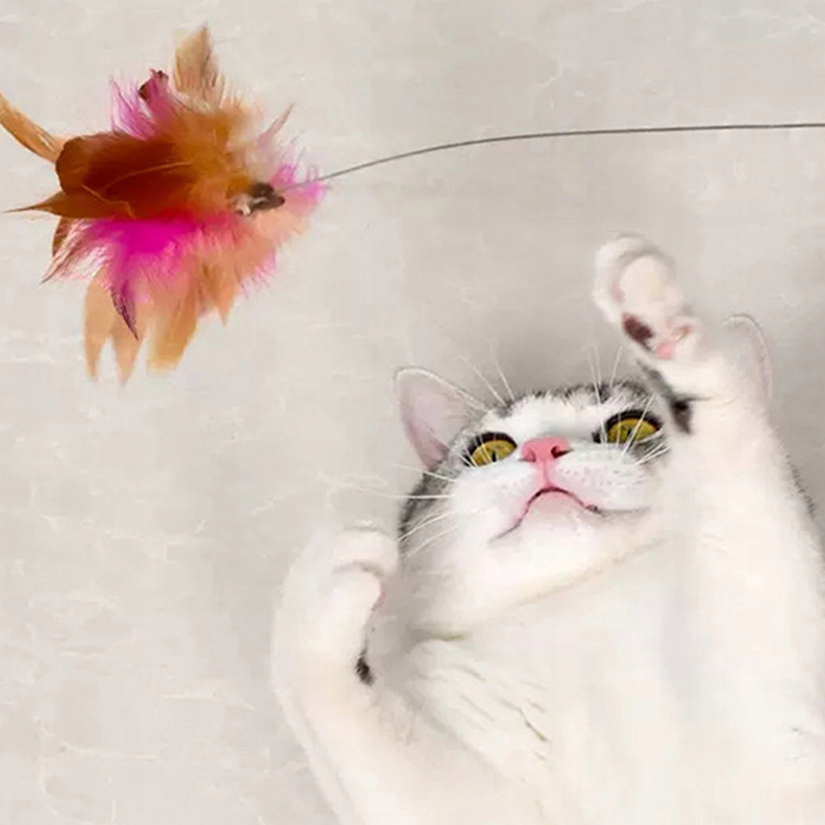 ADJUSTABLE CAT TOY FISHING ROD FEATHERS FEATHER COLLAR Packaging status original