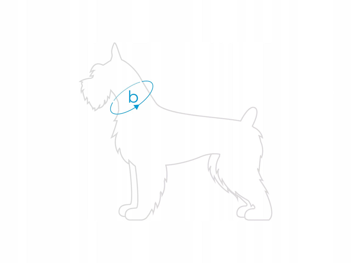 ADJUSTABLE COLLAR AMIPLAY BEHAPPY M DONUT FOR DOG Manufacturer code 5907563282285
