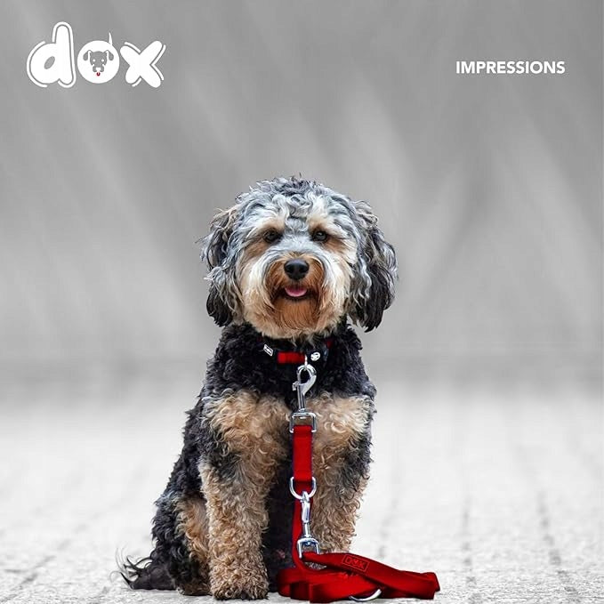 ADJUSTABLE DOG LEASH STRONG REFLECTIVE ORANGE 20mm 2m Brand Ddoxx