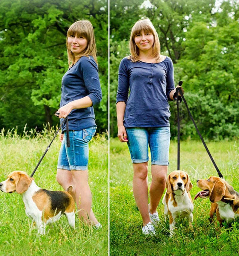 ADJUSTABLE DOG TRAINING LEASH CLIP-ON ADJUSTABLE STRONG 25mm 5m Color multicolor