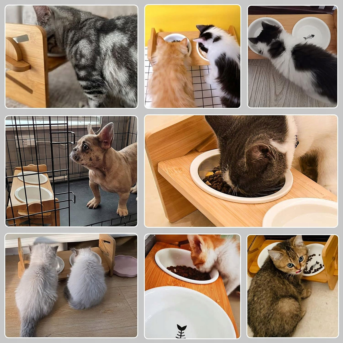 ADJUSTABLE ELEVATED CAT DOG BOWLS FOR GUUSIA FOOD HOME Packaging status original