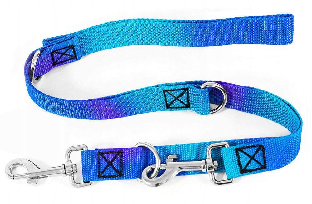ADJUSTABLE LEASH FOR DOG CLIP-ON TRAINING STRONG IN PATTERNS 25mm 5m Brand Reverse