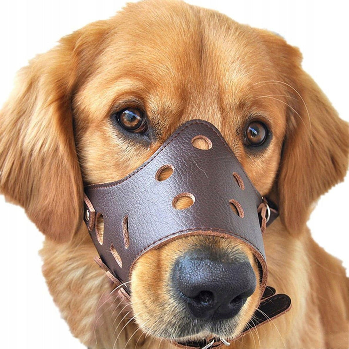ADJUSTABLE LEATHER DOG MUZZLE BREATHABLE SAFE FOR PETS M