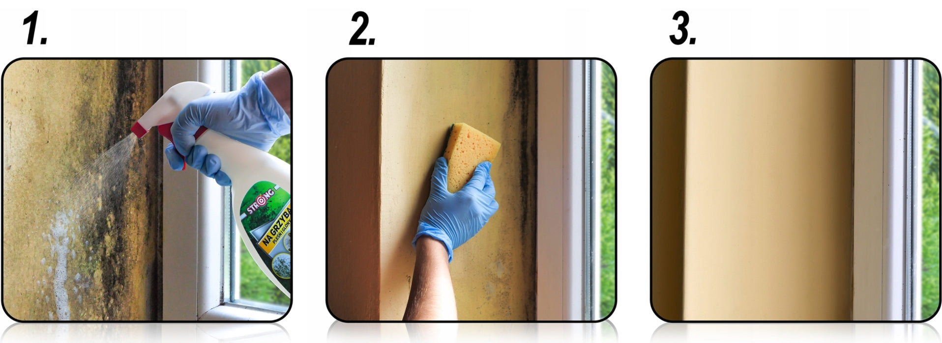 AGENT FOR FUNGUS MOLD ALGAE. LIQUID PROTECTING WALLS AND PLASTERS STRONG 1L Manufacturer Strong
