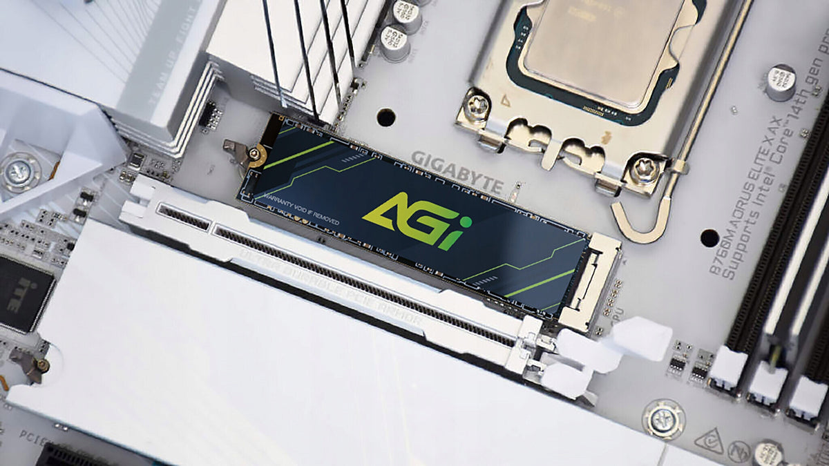 AGI AI818 1TB SSD Model AI818