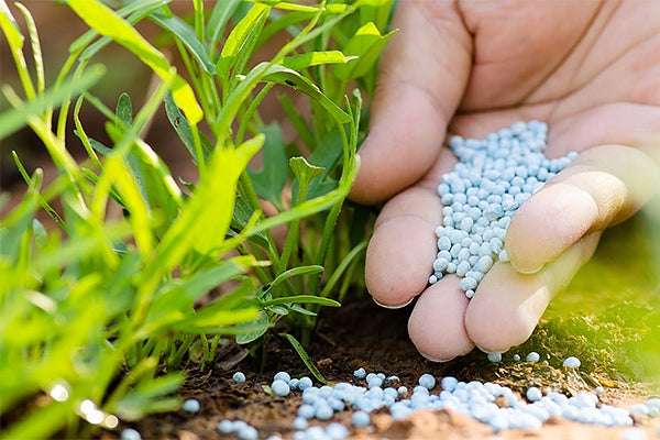 AGRECOL AUTUMN FERTILIZER UNIVERSAL 5kg PROTECTION AGAINST WINTER DECORATIVE AND OTHER R. Manufacturer code 425345