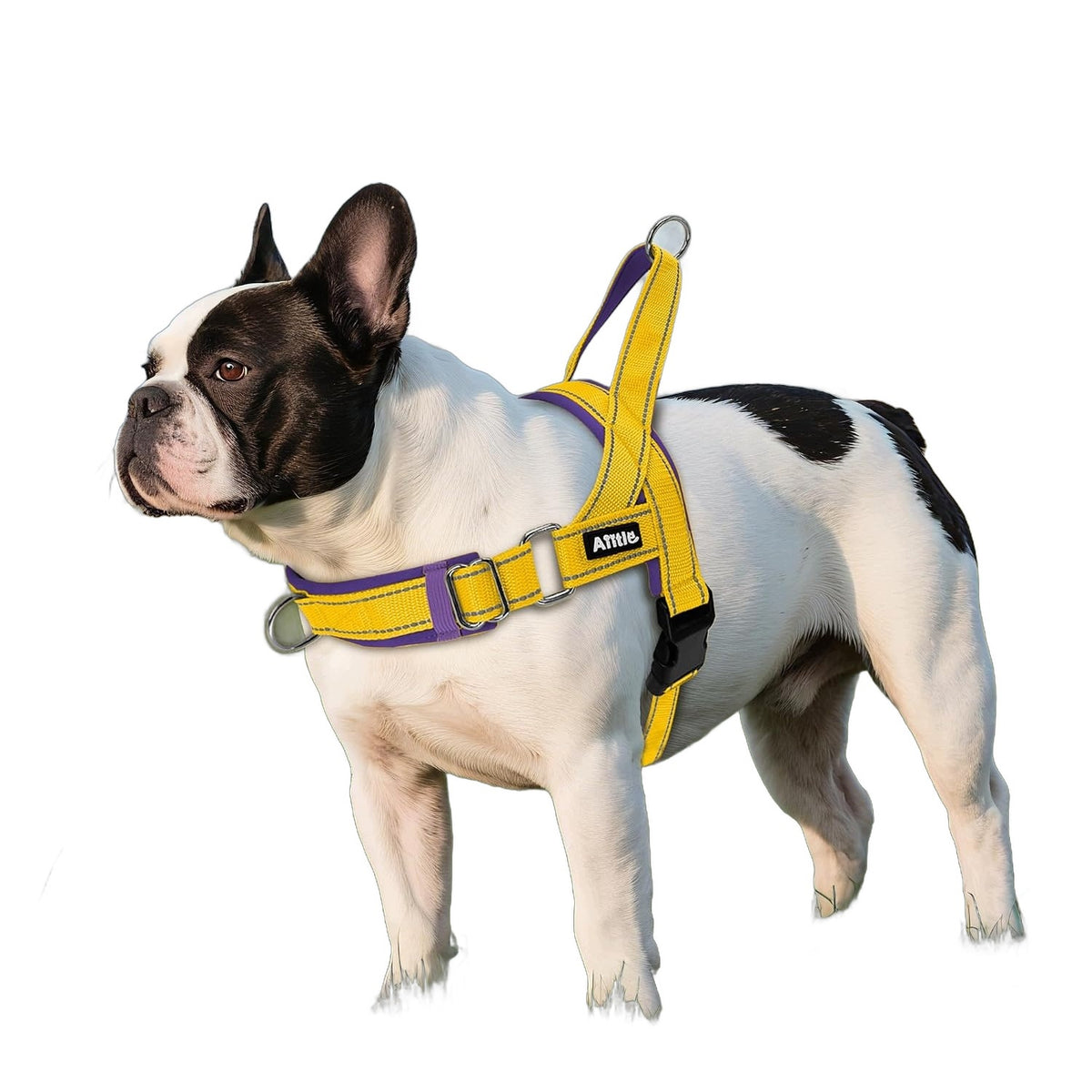 AIITLE Dog Harness Upgraded Yellow-Violet S Medium Dogs Adjustable