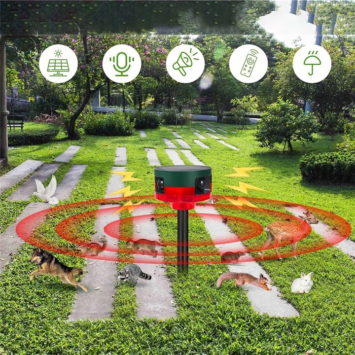 ALARM WITH OUTDOOR MOTION SENSOR, SOUND AND LIGHT SIREN, 129 DB Kind repellent