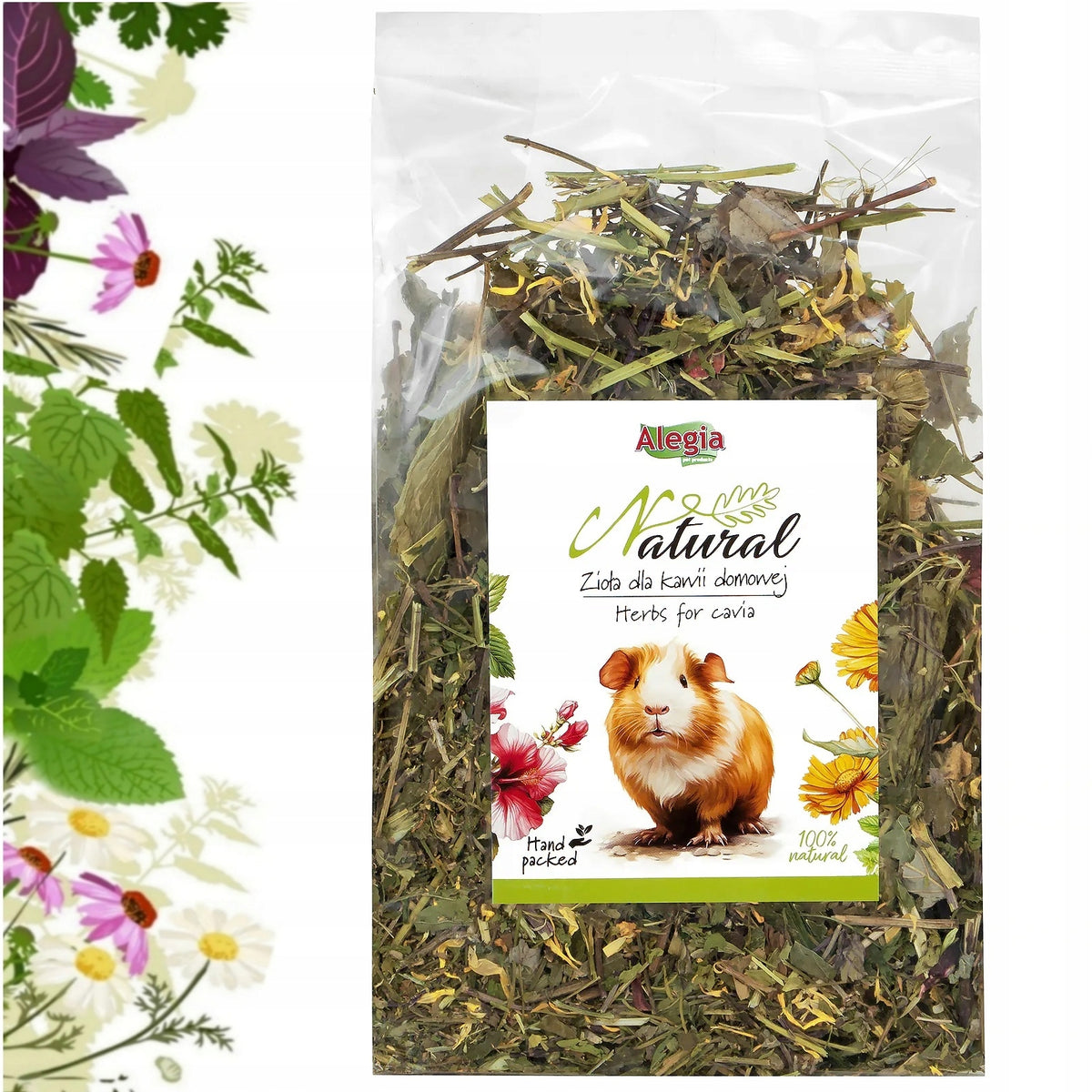 ALEGIA SEA PIG HERBS NATURAL HOMEMADE COFFEE TREAT 100g