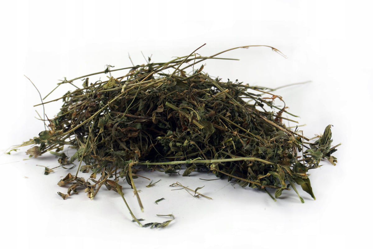 ALFALFA HERB NATURAL HERBS FOR RABBIT HAMSTER RODENT DELICACY 100G Brand Dary Kraszczad