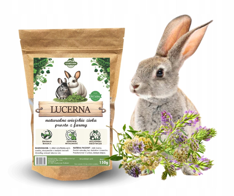 ALFALFA herb 150g for rabbits and rodents SAMFARM - herbs for rabbit