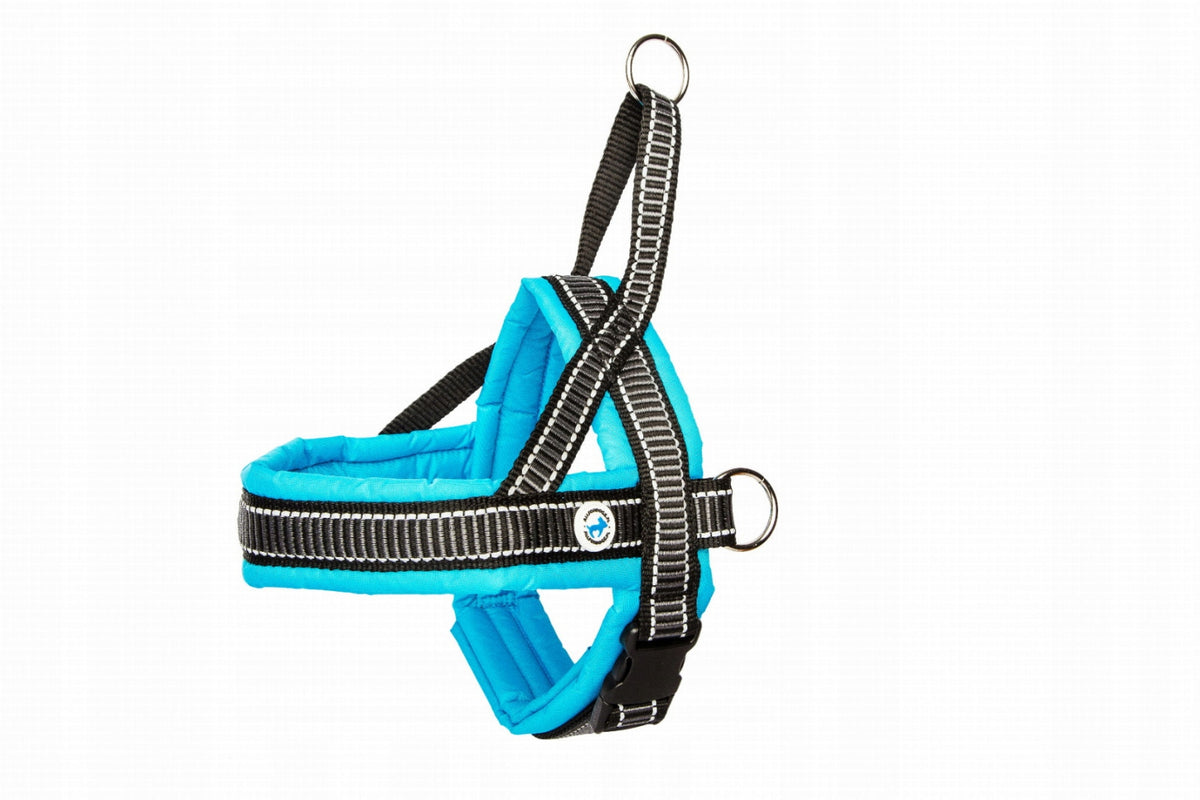ALL FOR DOGS Classic Norwegian harness 50 size M