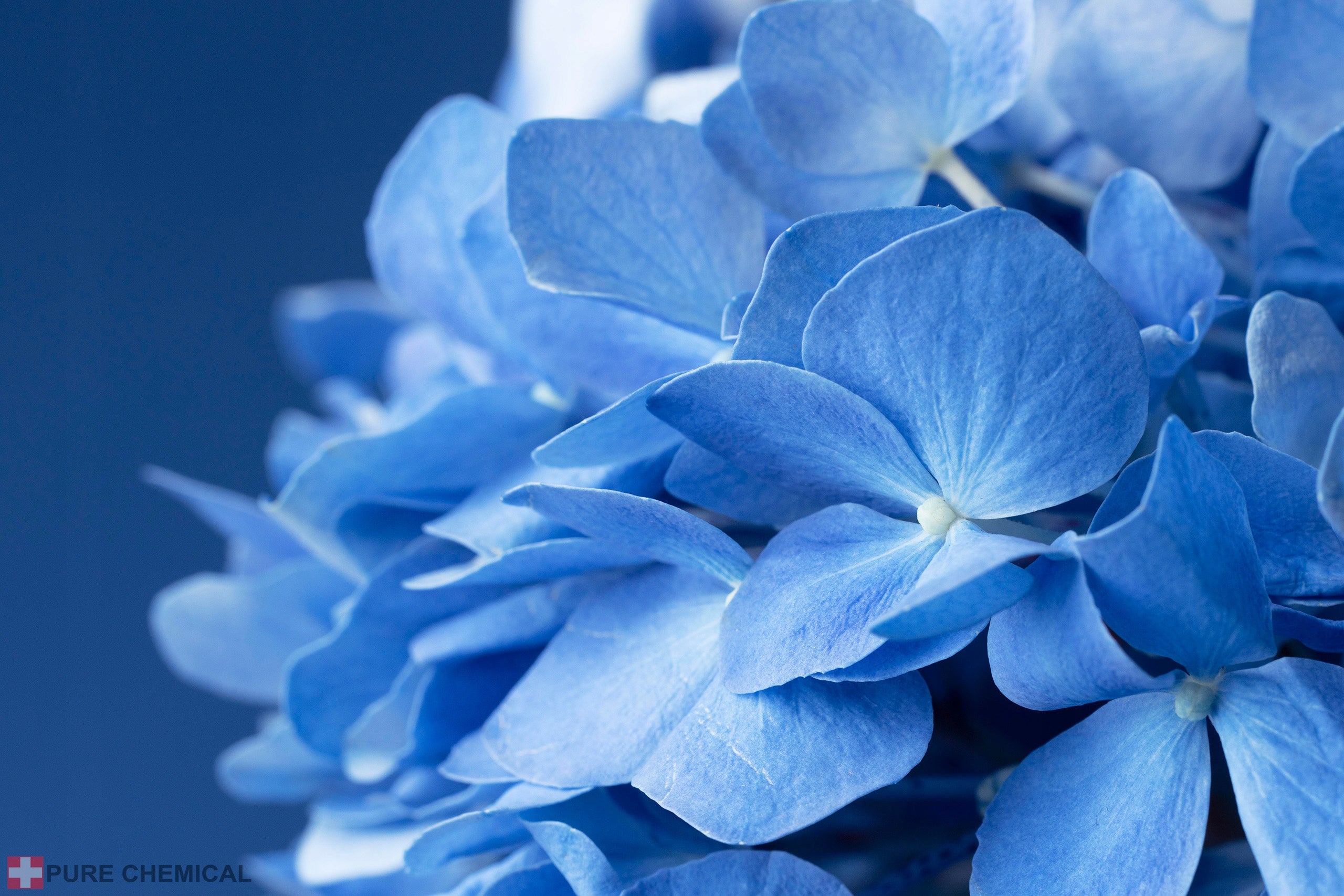 ALUMINIUM SULPHATE HYDRANGEA PURE 3KG FERTILIZER HYDRANGEAS PURE REDUCES PH Manufacturer code NIEBIESKIE HORTENSJE SIARCZAN GLINU 3 KG