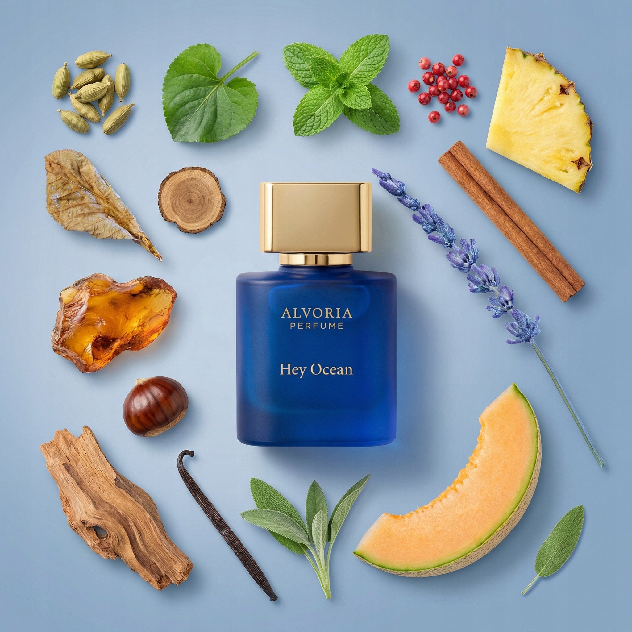 ALVORIA Hey Ocean 50 ml Packaging status original