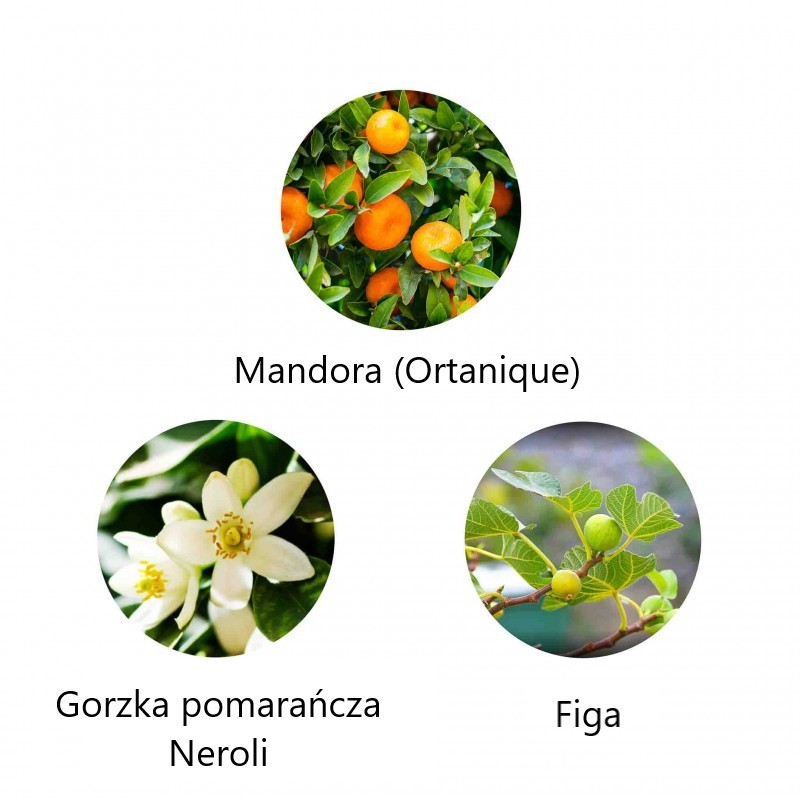 AMANTE-ANDALUCIA EAU DE PARFUM, 1,5ml, FIILIT Brand FiiLiT