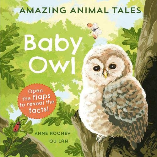 Erstaunliche Tiergeschichten: Baby Owl 1 