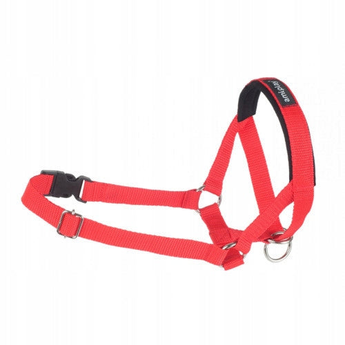 AMIPLAY HALTER Basic XL series red