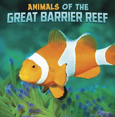 Tiere des Great Barrier Reef 