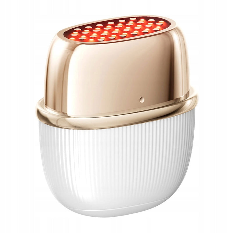 ANLAN 01-ADRY51-02A Lifting Face Massager with RF Light Therapy
