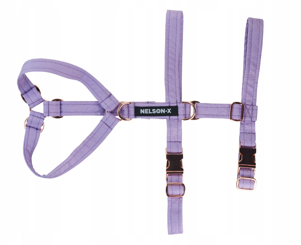 ANTI-ESCAPE HARNESS FOR DOG NELSON-X ELEGANT SIZE L Polish GOLD FITTINGS