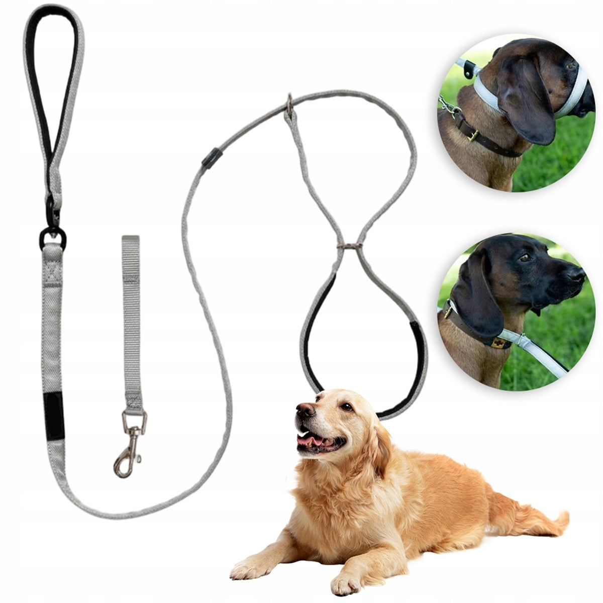 ANTI-TEAR LEASH 180CM FIGURE EIGHT FOR DOGS OF ALL SIZES Packaging status original