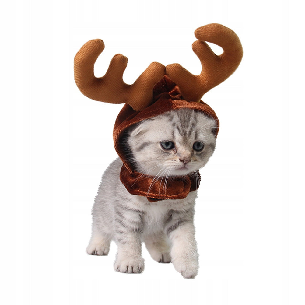 ANTLERS HAT CAT CHRISTMAS COFFEE