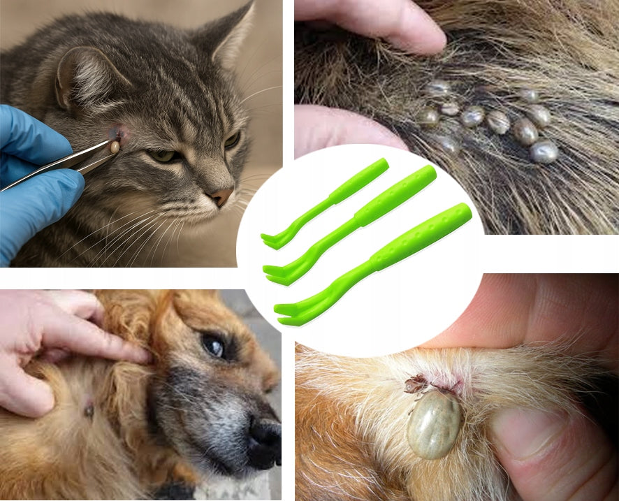 APPLICATOR SYRINGE FOR ADMINISTRATION OF TABLETS + FREEBIE FOR ANIMALS ZK8z Trade name 0,21 APLIKATOR TABLETEK LEKÓW DLA PSA KOTA DO PODAWANIA SUPLEMENTÓW DOZOWNIK