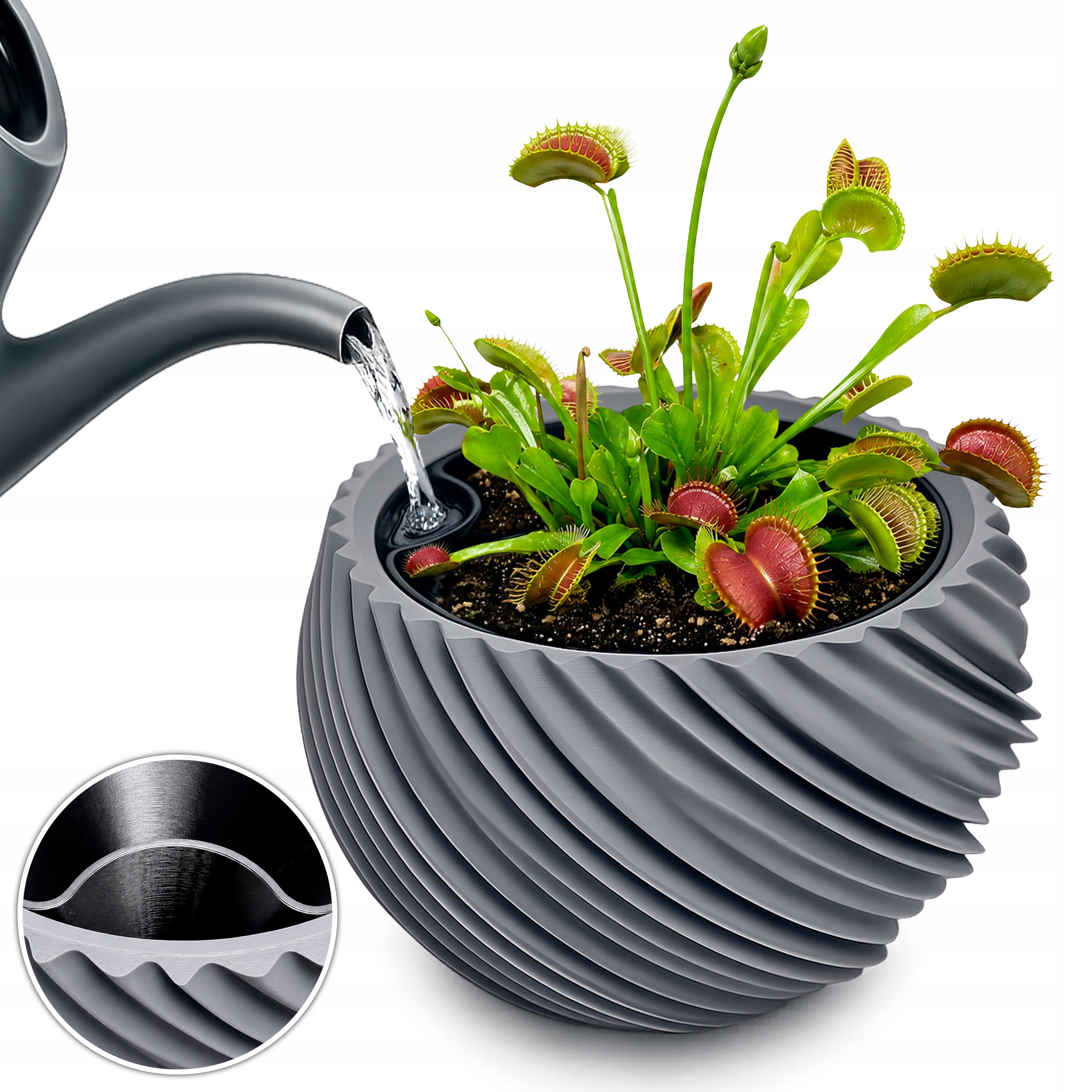 AQUA VENUS Self-Irrigating Pot for House Plants and Flycatchers
