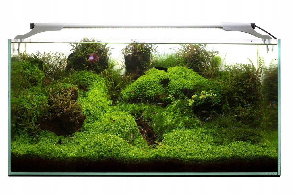 Beleuchtung für Aquarien Leddy Slim Plant LED, 36 W 