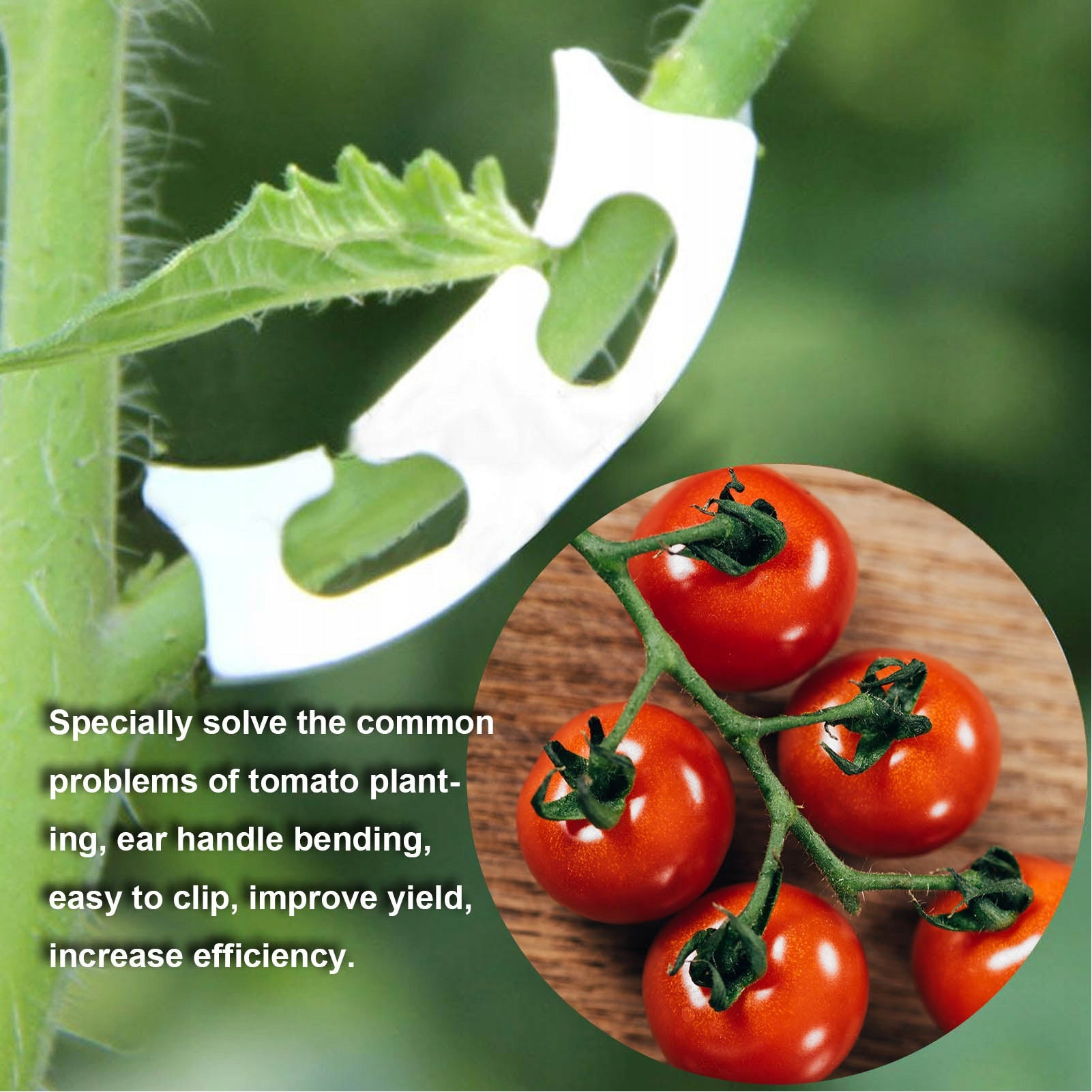 ARCHES FOR SUPPORTING TOMATO GRAPES 100 PCS Color white